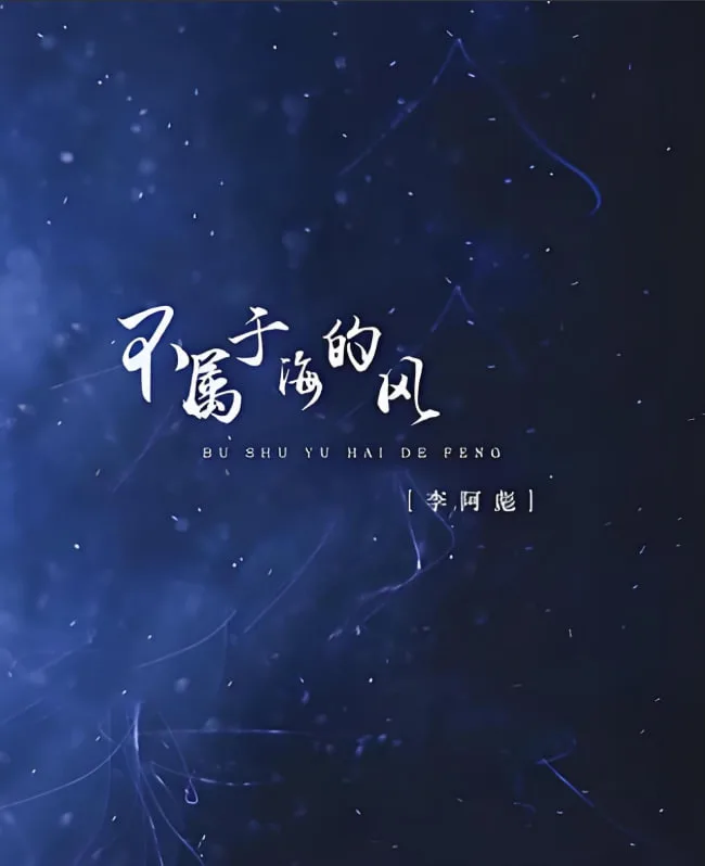 不属于海的风