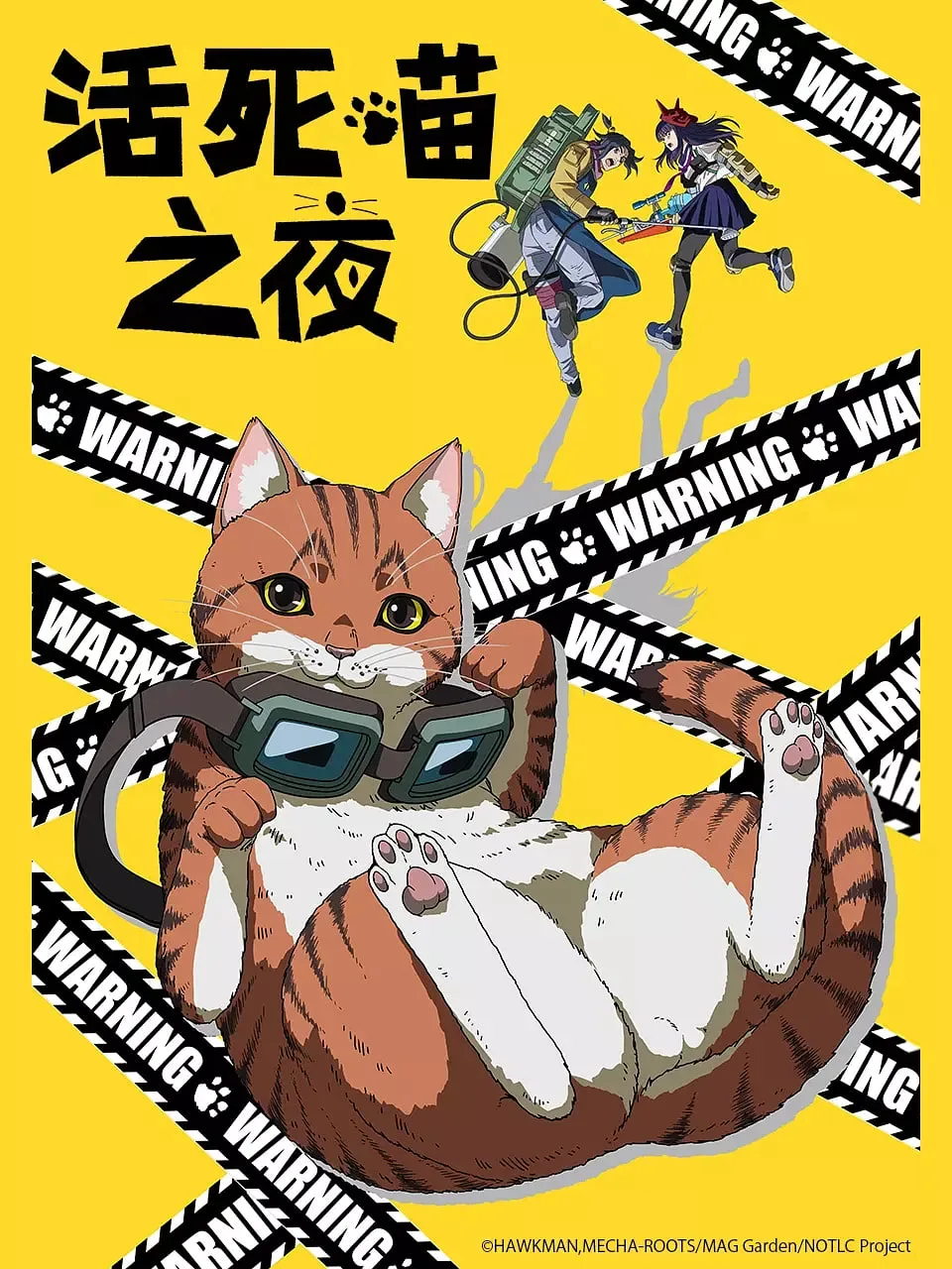 活死喵之夜