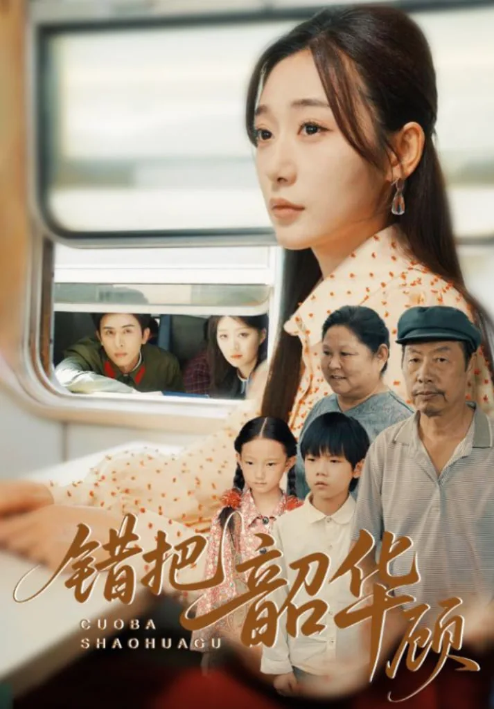错把韶华顾